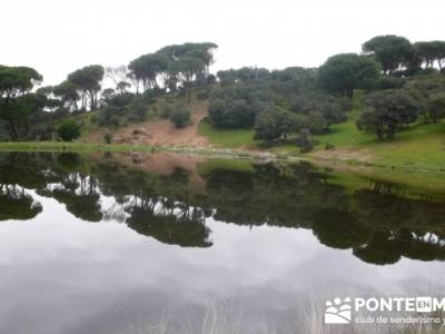 Senderismo Madrid - Pantano de San Juan - Embalse de Picadas; navacerrada la barranca